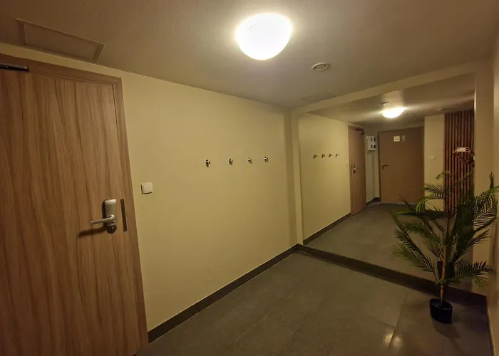 Апартаменты Czarna Gora Ischgl 20