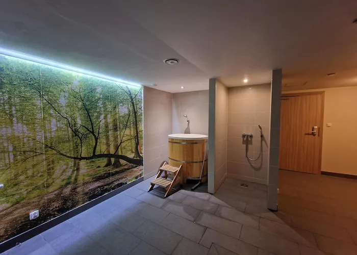 Апартаменты Czarna Gora Ischgl 20