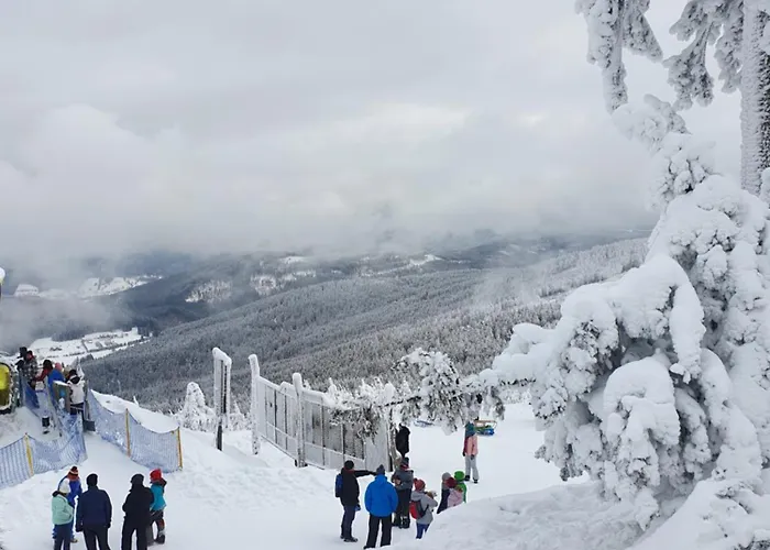 Czarna Gora Ischgl 20 Апартаменты Biala Woda